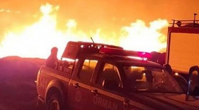 Gökçeada'da korkutan yangın
