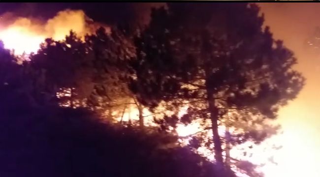 İZMİR’DEKİ ORMAN YANGININDA AĞIR BİLANÇO