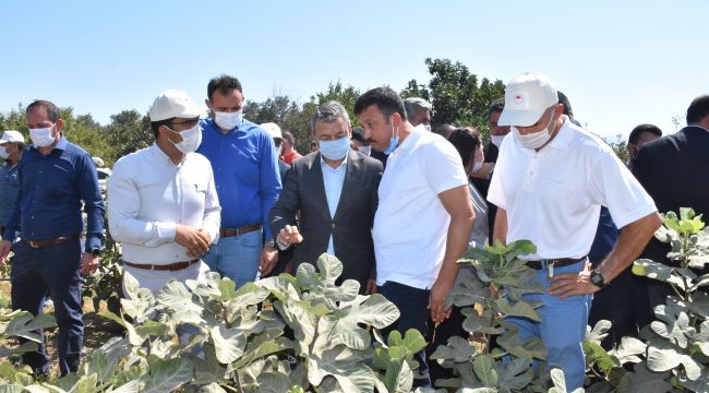 İZMİRLİ ÇİFTÇİDEN TÜRKİYE'DE BİR İLK