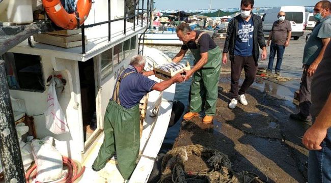 Karadeniz'de Palamut bereketi