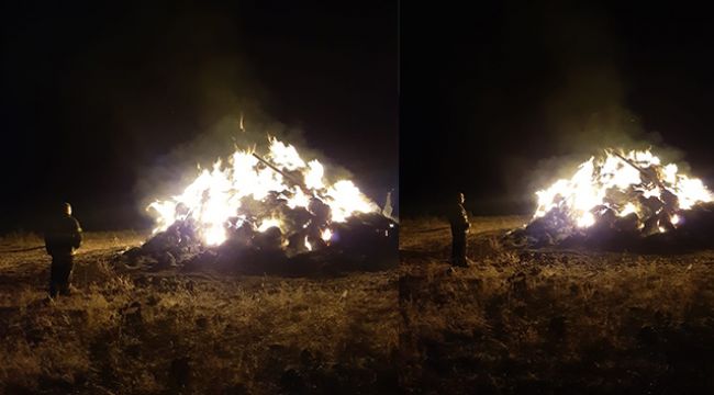 Kars'ta 7 ton ot yanarak kül oldu