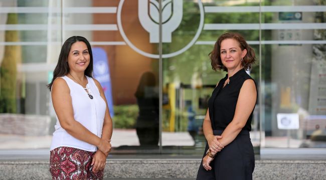 Kına gecesi sahneleri araştırma konusu oldu