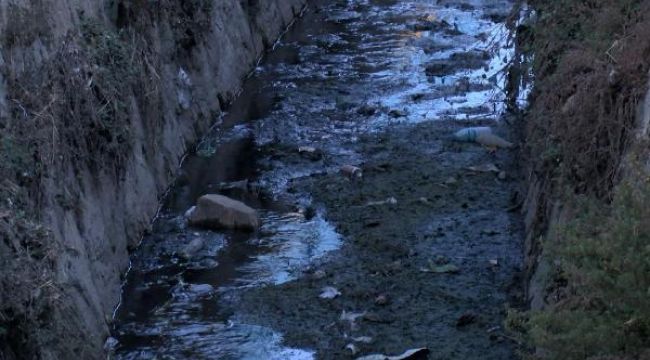 Mahalle sakinleri dereden yayılan kokuya isyan etti