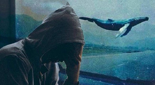 Mavi balina oyunu yüzünden 3 genç hayatını kaybetti