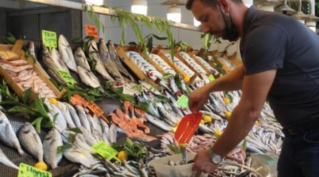 Sezon açıldı, tezgahlar palamut ile doldu