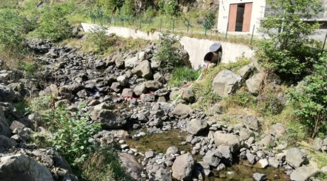 Trabzon'da kuraklık tehlikesi