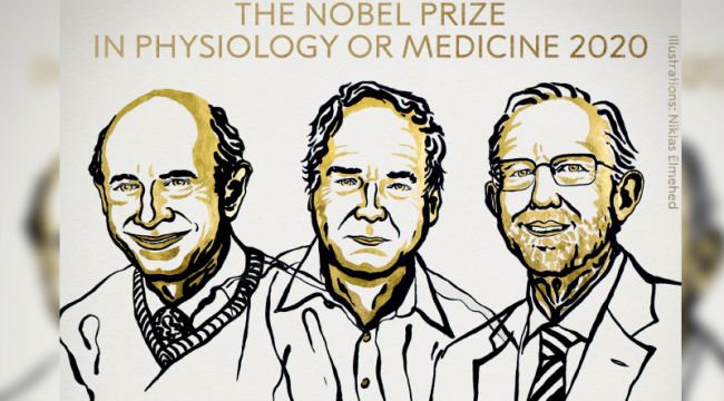 2020 Nobel Tıp Ödülü sahiplerini buldu