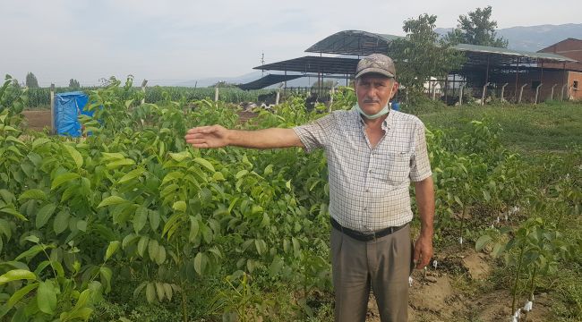 ALDIĞI KURS HAYATINI DEĞİŞTİRDİ