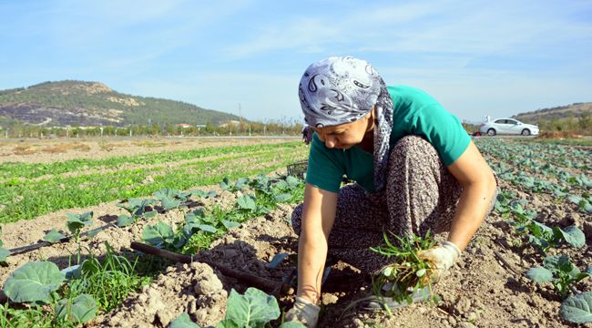 ALİAĞALI KADINLARDAN DOĞAL TARIM ATAĞI