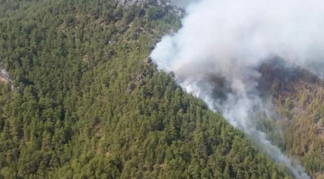 Antalya'da orman yangını