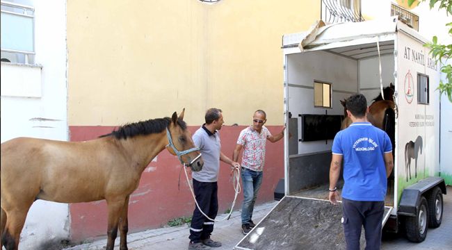 ATLAR ARTIK ‘BAŞIBOŞ’ KALMAYACAK!