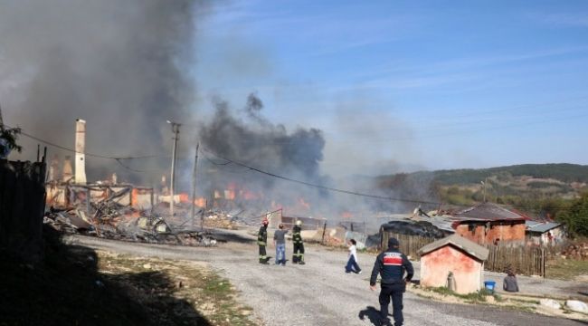 Bolu'da köyde çıkan yangın 12 evi kül etti