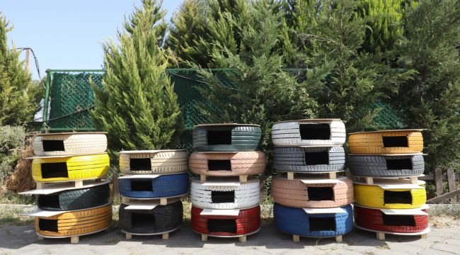 BUCA'DA CAN DOSTLAR İÇİN KIŞA HAZIRLIK 