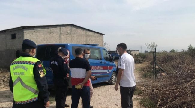 Ceyhan'da ağaç kesme kavgası