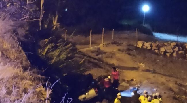 Erdemli'de kamyonet sahile uçtu