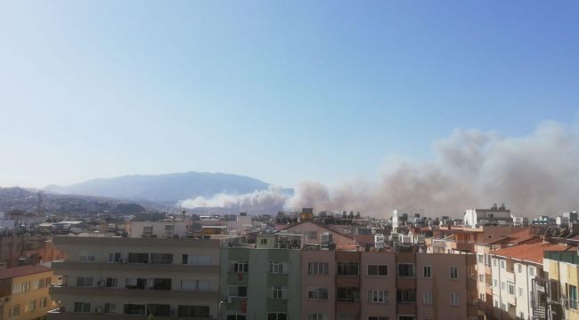 Hatay'daki orman yangını yerleşim yerlerine yaklaştı