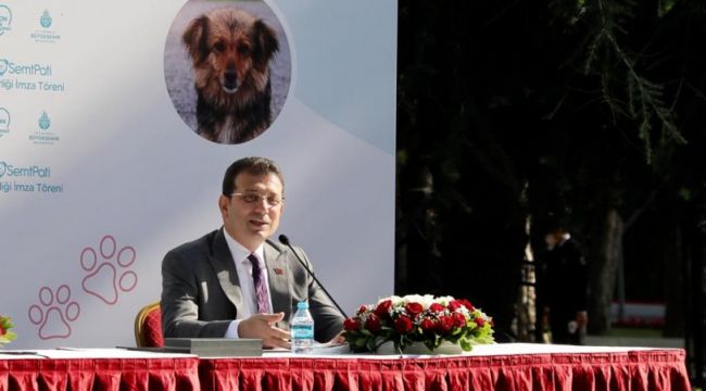 İBB ve Koç Sistem'den sokak hayvanları için önemli protokol