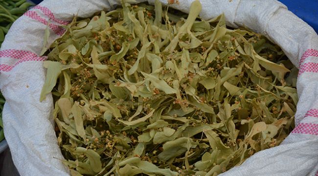 Ihlamurun kilosu 130 lira