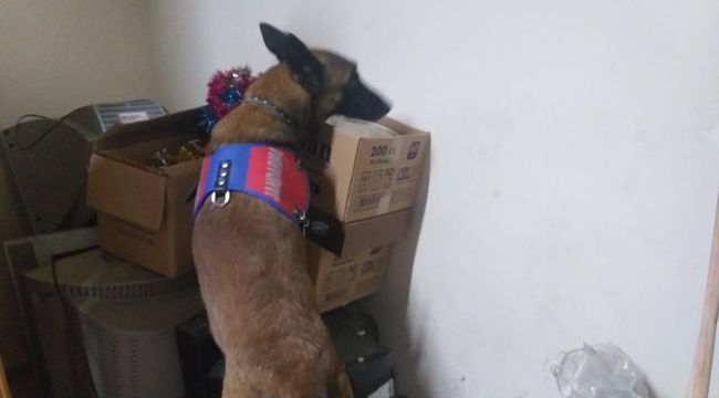 İZMİR'DE DERNEK VE DEPOLARA KUMAR BASKINI