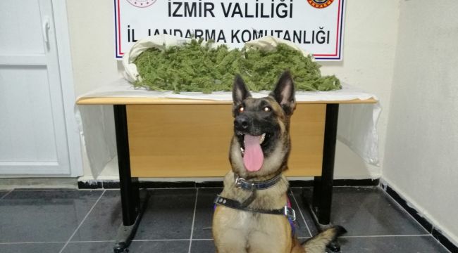İZMİR'DE UYUŞTURUCU OPERASYONU