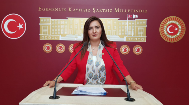"İZMİR'İN DOĞA HARİKASI KOYLARINI KORUYALIM"