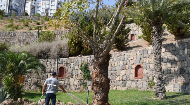 KARABAĞLAR BELEDİYESİ'NDEN YEŞİLE SAYGI
