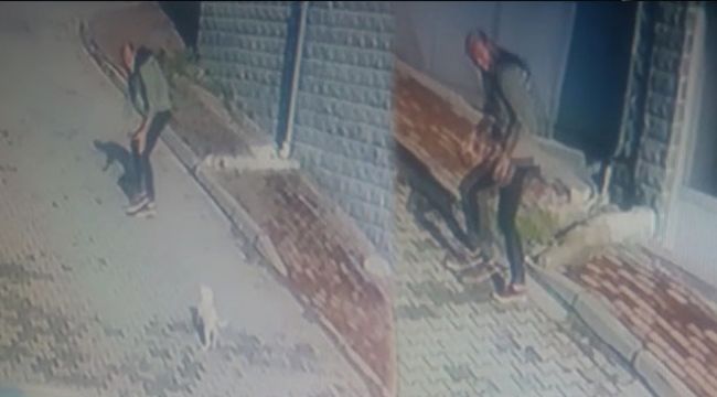 Köpeği önce sevdi, sonra kaçırdı