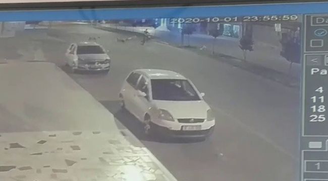 Köpeklerden kaçarken başını çarpıp, öldü