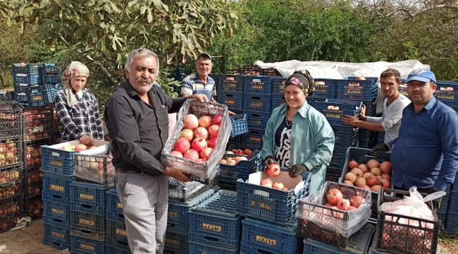 Nar piyasası belirsiz