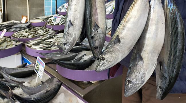 Palamut fiyatları tavan yaptı