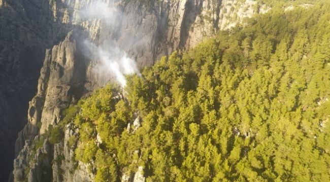 Tazı Kanyonunda orman yangını