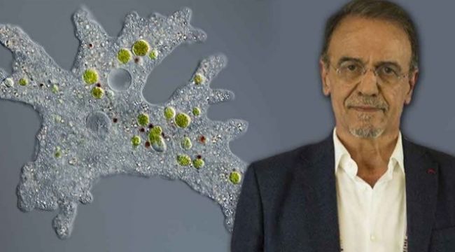 "Toplumsal bağışıklığa düşündüğümüzden yakınız"