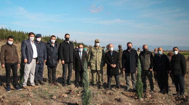 BERGAMA'DA FİDAN DİKİM BAYRAMI