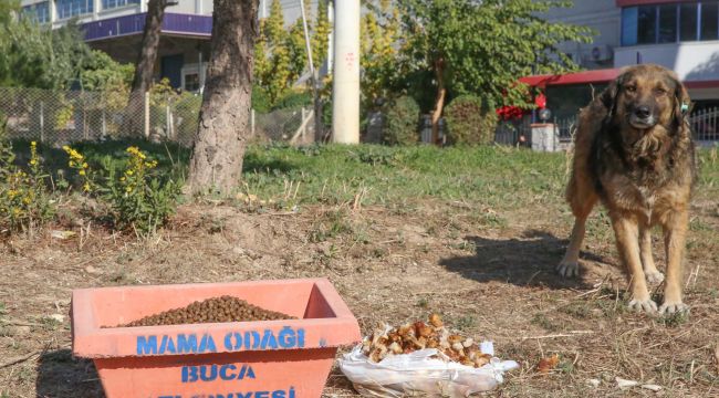   BUCA BELEDİYESİ, MAMA DESTEĞİNİ ARTIRDI