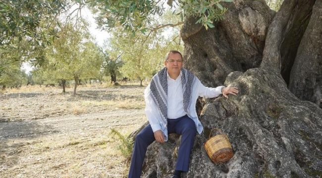 Dünya zeytin ağacı günü kutlu olsun