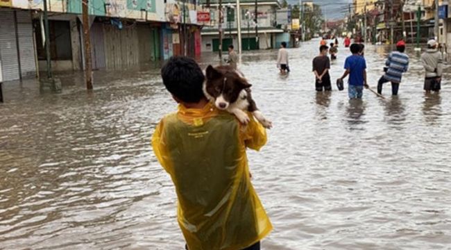 Filipinler'de Goni Tayfunu