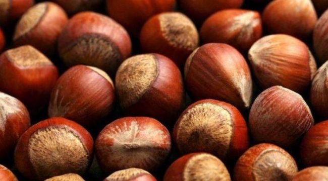 Fındık ihracatı dibe vurdu
