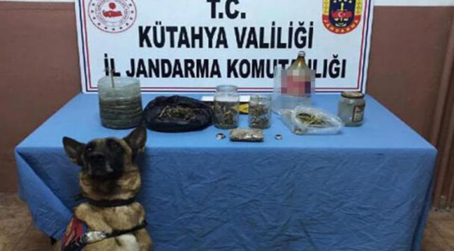 Gediz'de uyuşturucu operasyonu