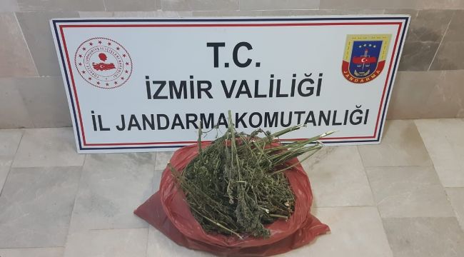 İZMİR'DE UYUŞTURUCU OPERASYONU