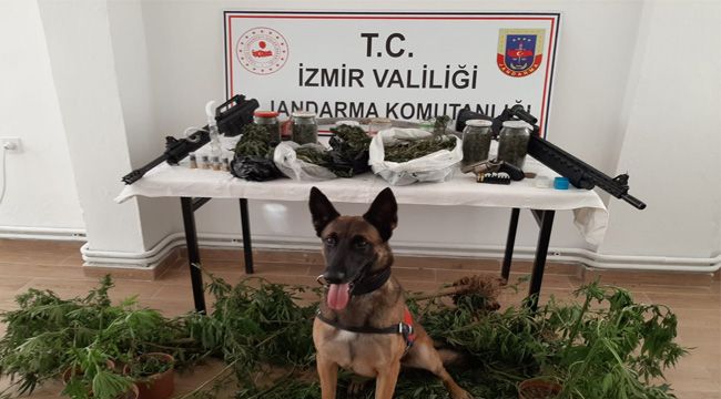 İZMİR'DE UYUŞTURUCU OPERASYONU