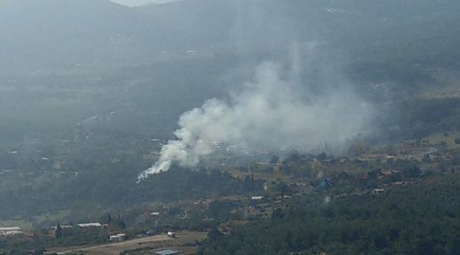 MEZARLIKTA KORKUTAN YANGIN