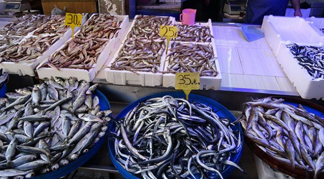 Pandemi balık fiyatlarını düşürdü