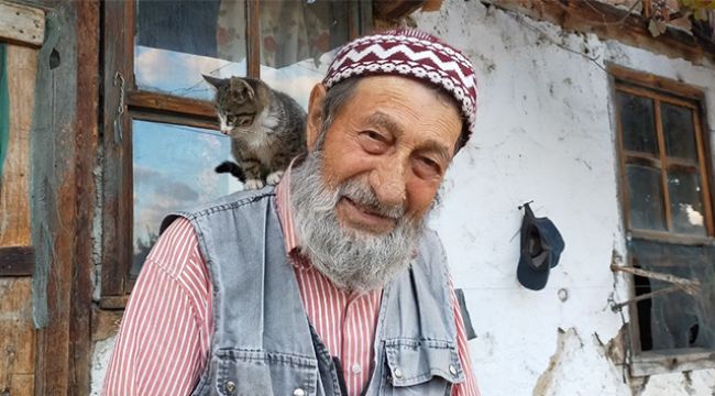 Sahipsiz kedilerin gönüllü bakıcısı
