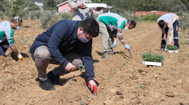   SÜRDÜRÜLEBİLİRLİK OSCAR’I BUCA BELEDİYESİ’NE