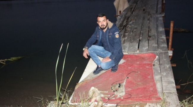 Kuzuları ayaklarından bağlayıp, ölüme terkettiler!