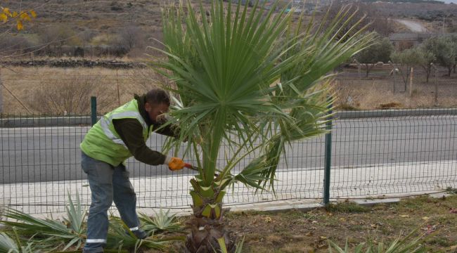 Aliağa Belediyesi Ekipleri Uzunhasanlar’da