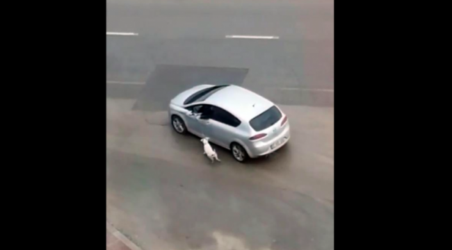 Antalya'da skandal görüntü