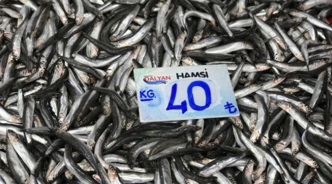 Balık fiyatları cep yakıyor