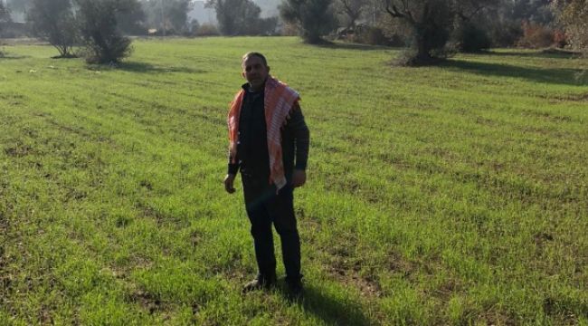 BEYDAĞ'DAKİ KARAKILÇIK BUĞDAYLARI BÜYÜYOR