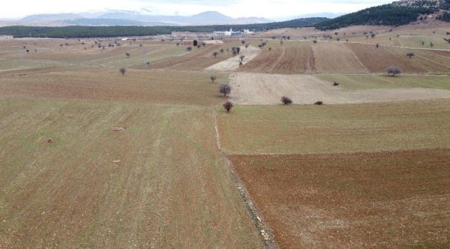Beyşehir Gölünde su seviyesi azalıyor